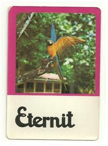 Eternit 019